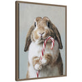 Sylvie Framed Canvas Cute Bunny Candy Cane by The Creative Bunch Studio
