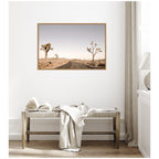 Driving Joshua Tree No. 3 by Alicia Bock Framed Canvas Wall Art Print