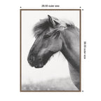 AA Indomitable by Alicia Abla Framed Canvas Wall Art Print