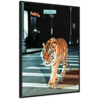 Sylvie Tiger in the City at Night 2 Framed Canvas by Michael Schauer
