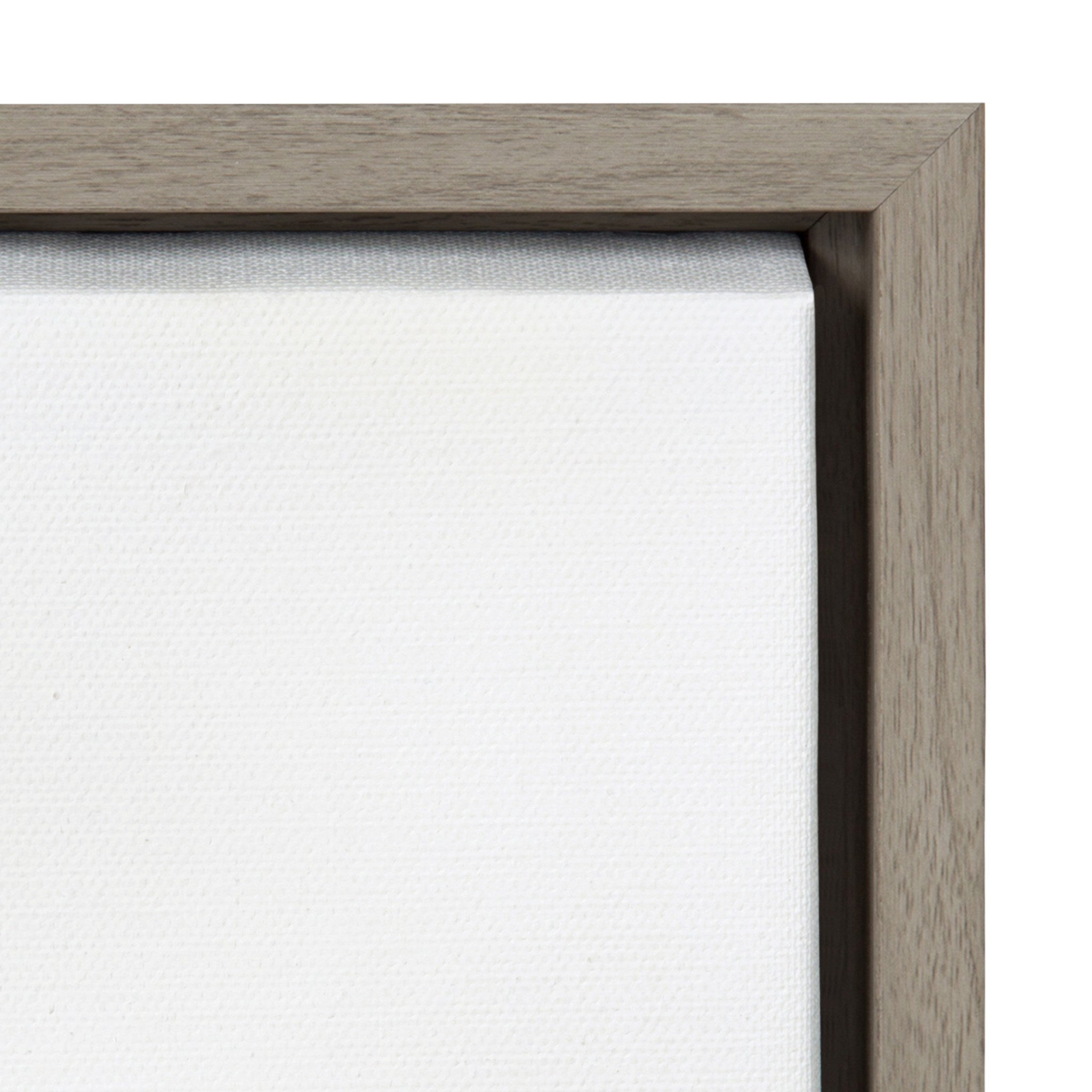 Sylvie Beachbound and Down Framed Canvas by Rachel Bolgov