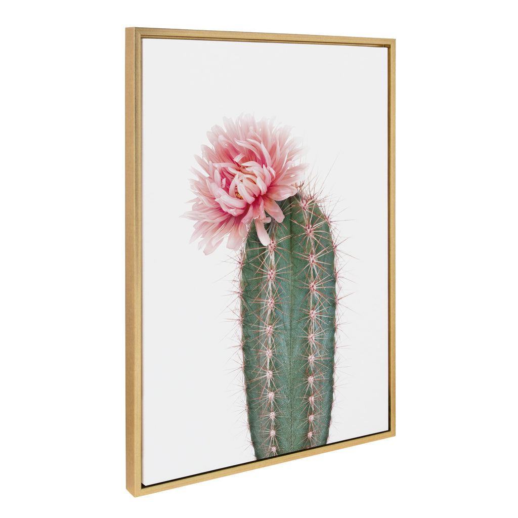 Sylvie Pink Cactus Flower Framed Canvas by Amy Peterson Art Studio