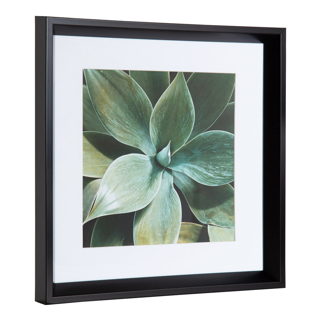 Calter Succulent Leaves Framed Print Art Set by Amy Peterson