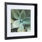 Calter Succulent Leaves Framed Print Art Set by Amy Peterson
