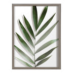 Blake Botanical 5F Framed Printed Glass by Amy Peterson