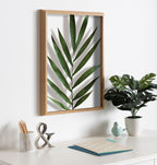 Blake Botanical 5F Framed Printed Glass by Amy Peterson