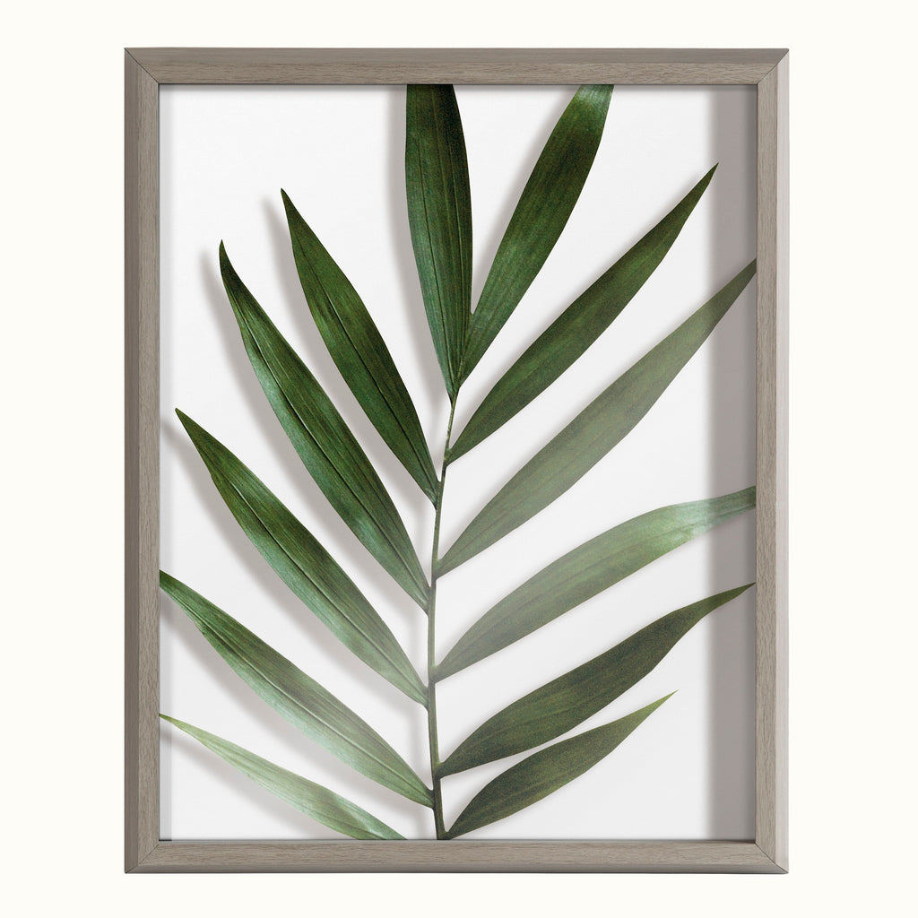 Blake Botanical 5F Framed Printed Glass by Amy Peterson