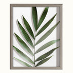 Blake Botanical 5F Framed Printed Glass by Amy Peterson