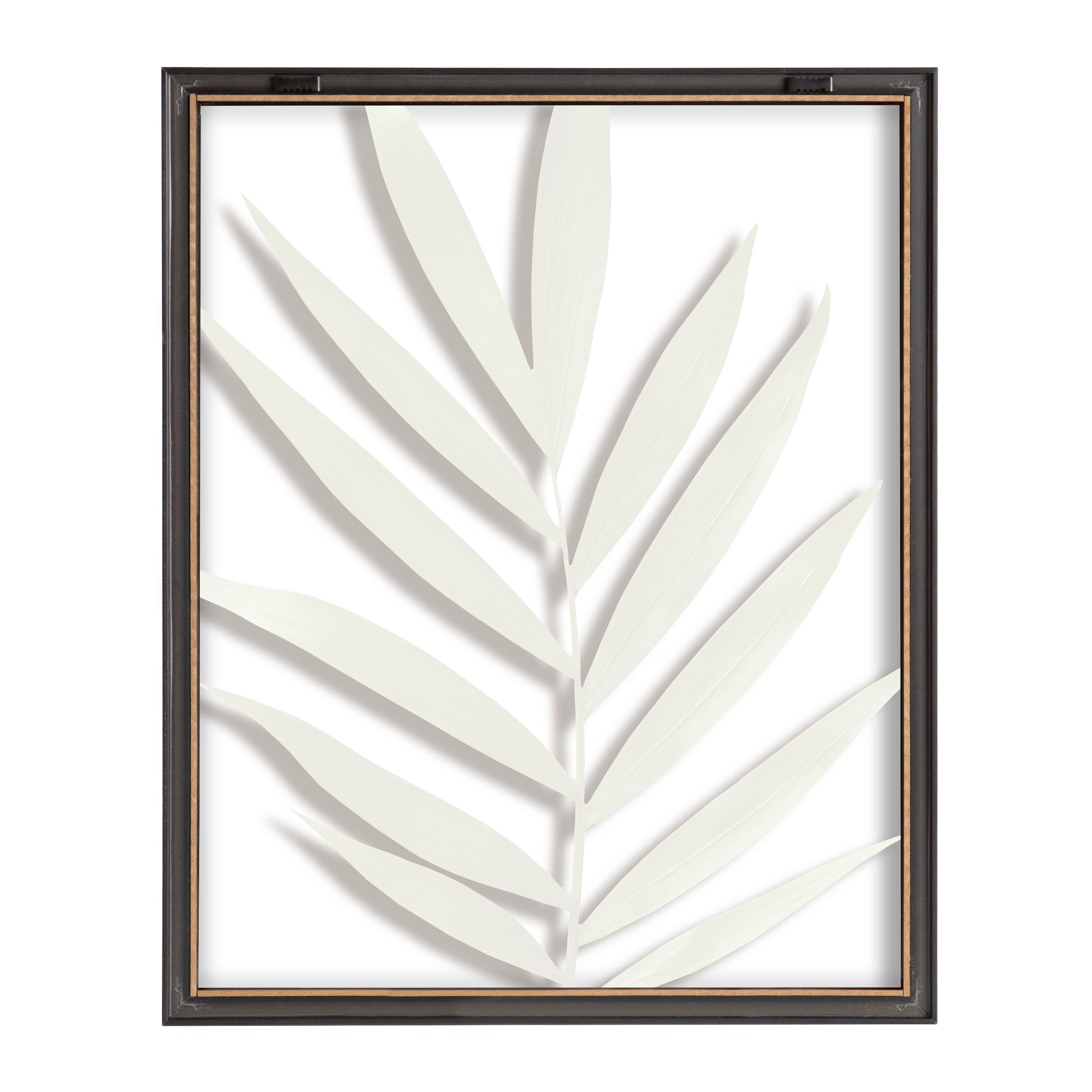 Blake Botanical 5F Framed Printed Glass by Amy Peterson