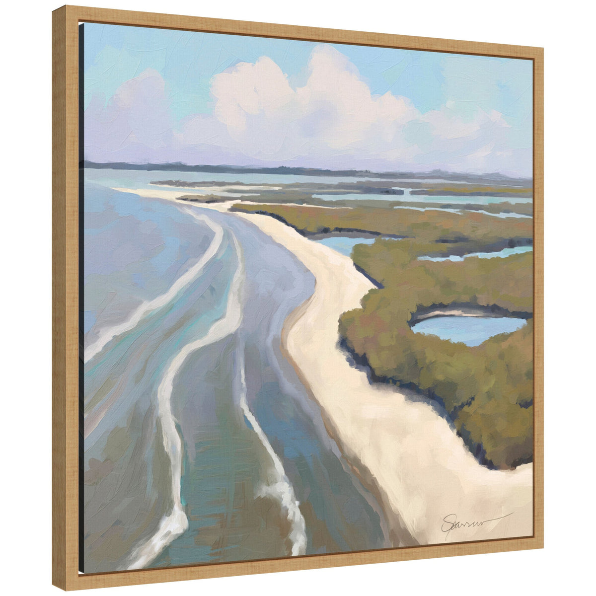 Sylvie Coastal Visions Framed Canvas by Mary Sparrow