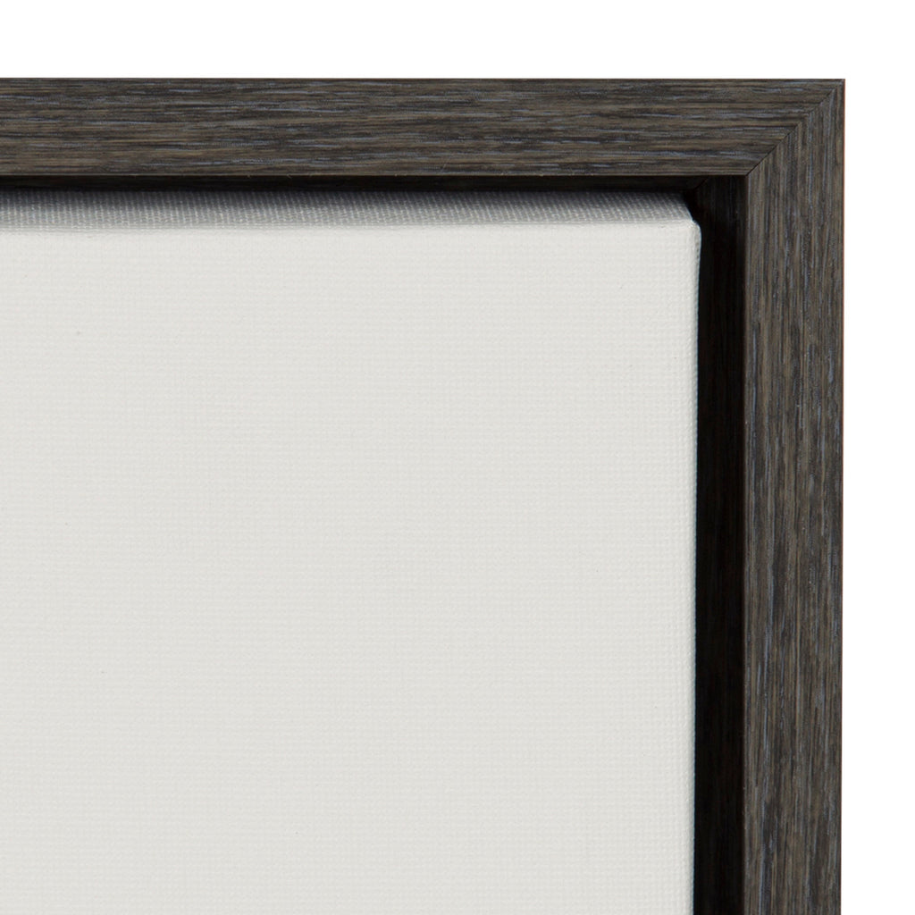 Sylvie Haze Succulent Cactus Short Framed Canvas by The Creative Bunch Studio