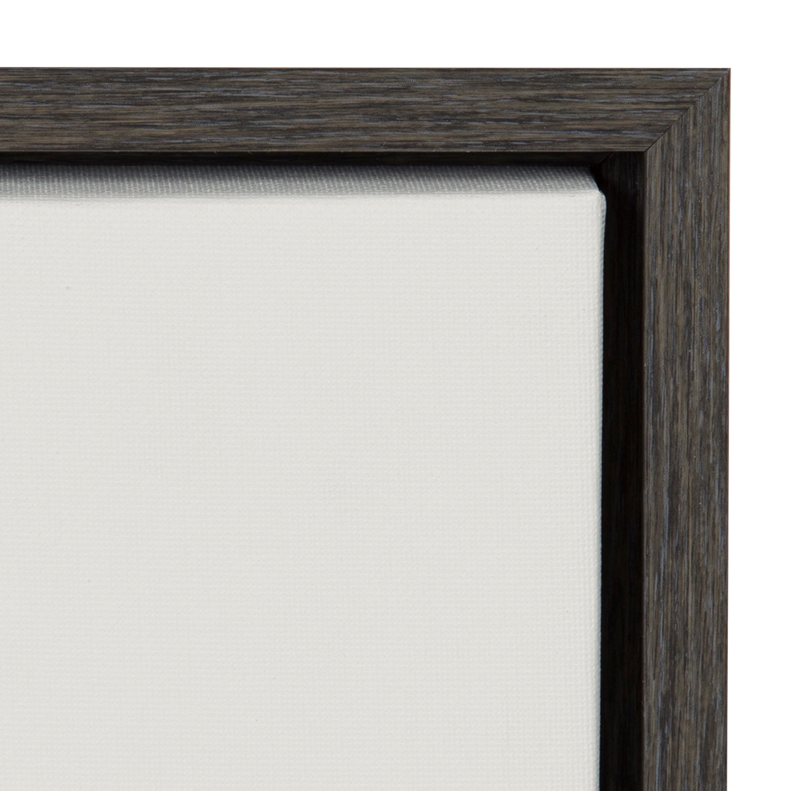 Sylvie Haze Succulent Cactus Short Framed Canvas by The Creative Bunch Studio