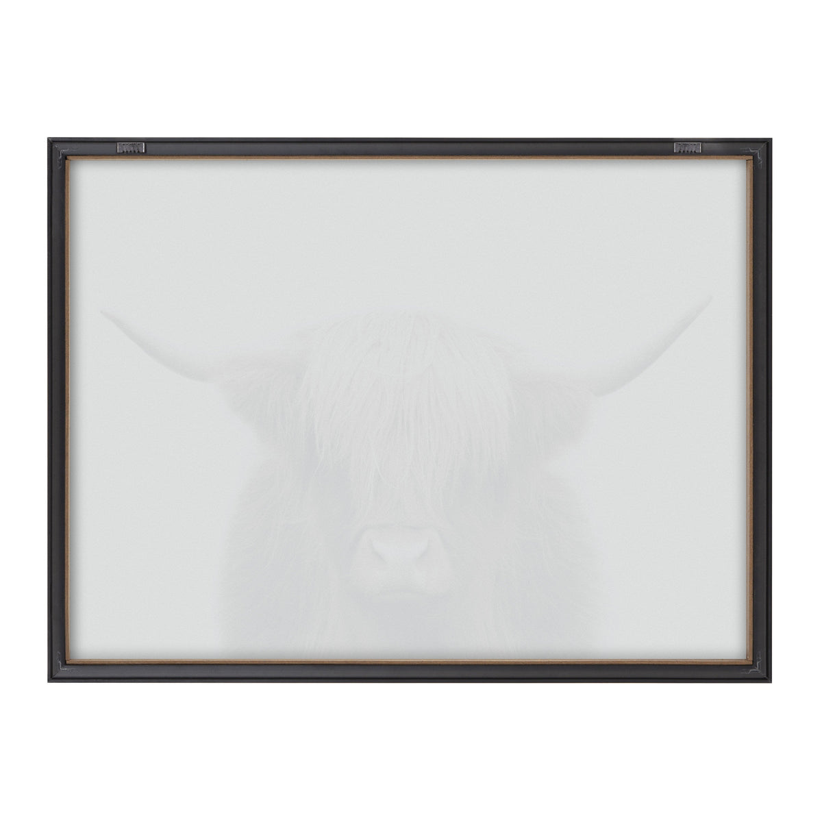 Blake Hey Dude Highland Cow Color Framed Printed Art by The Creative Bunch Studio