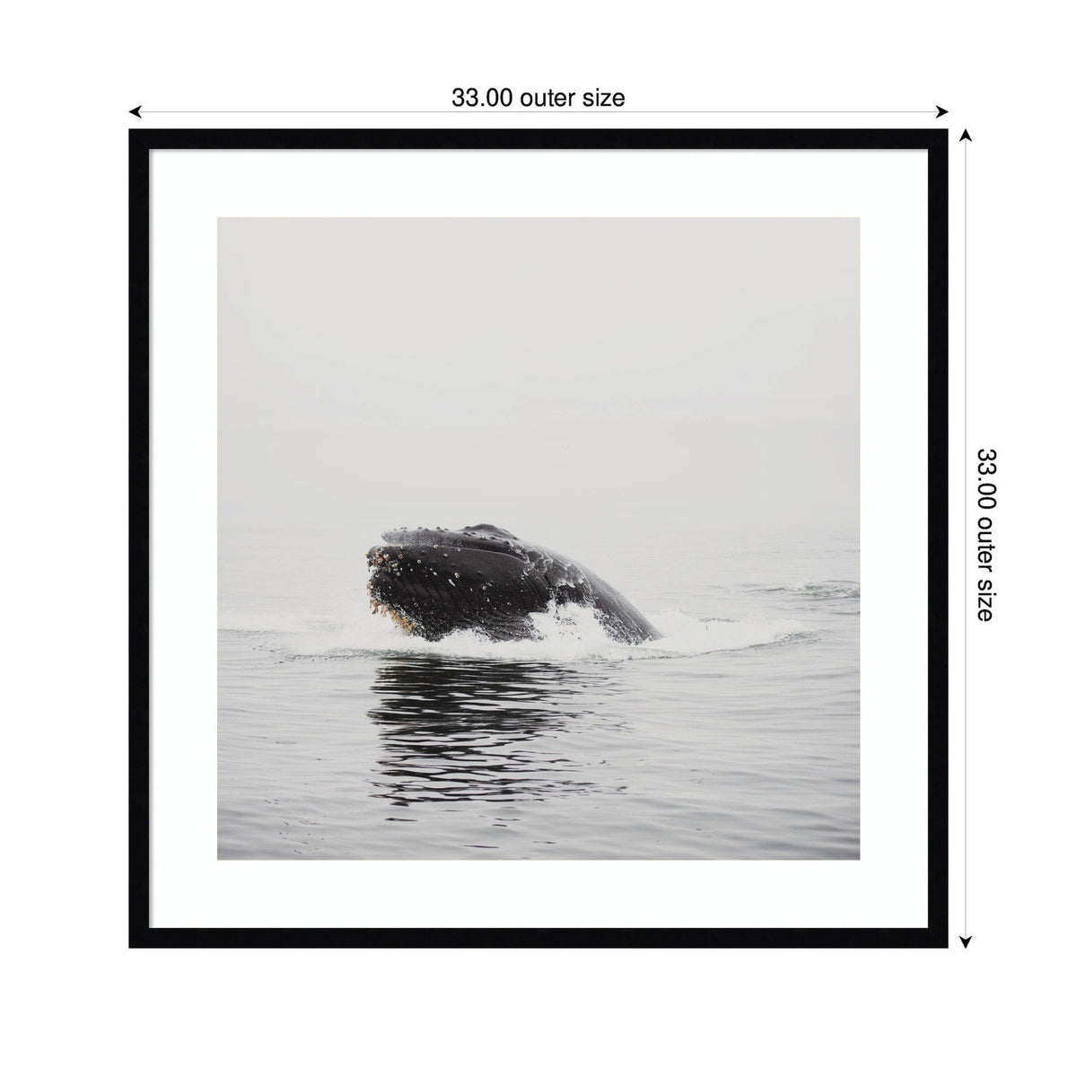 Humpback Whale No. 4 by Laura Evans Framed Wall Art Print
