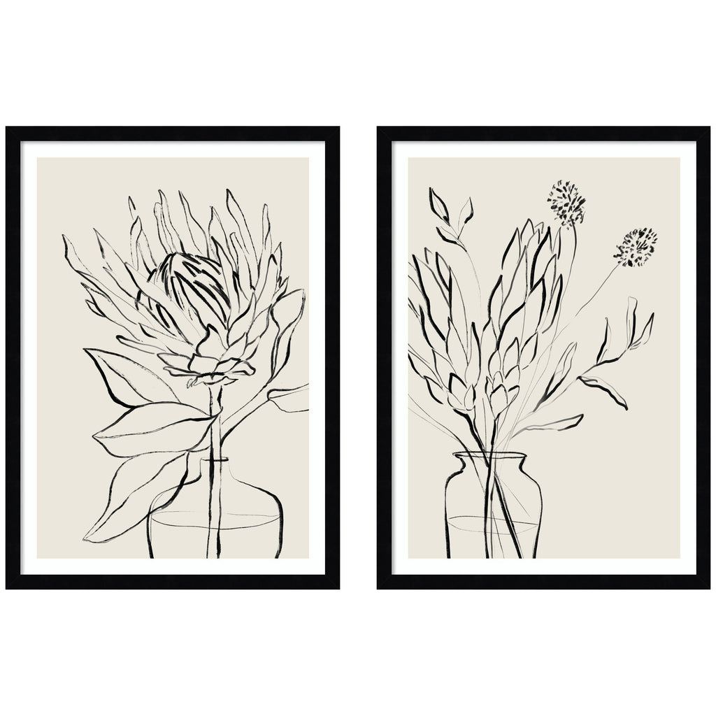 Protea Sketch No. 1 & No. 2 2 Piece Framed Wall Art Print Set by Sara Berrenson