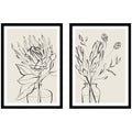 Protea Sketch No. 1 & No. 2 2 Piece Framed Wall Art Print Set by Sara Berrenson