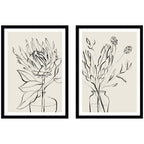 Protea Sketch No. 1 & No. 2 2 Piece Framed Wall Art Print Set by Sara Berrenson