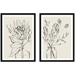 Protea Sketch No. 1 & No. 2 2 Piece Framed Wall Art Print Set by Sara Berrenson