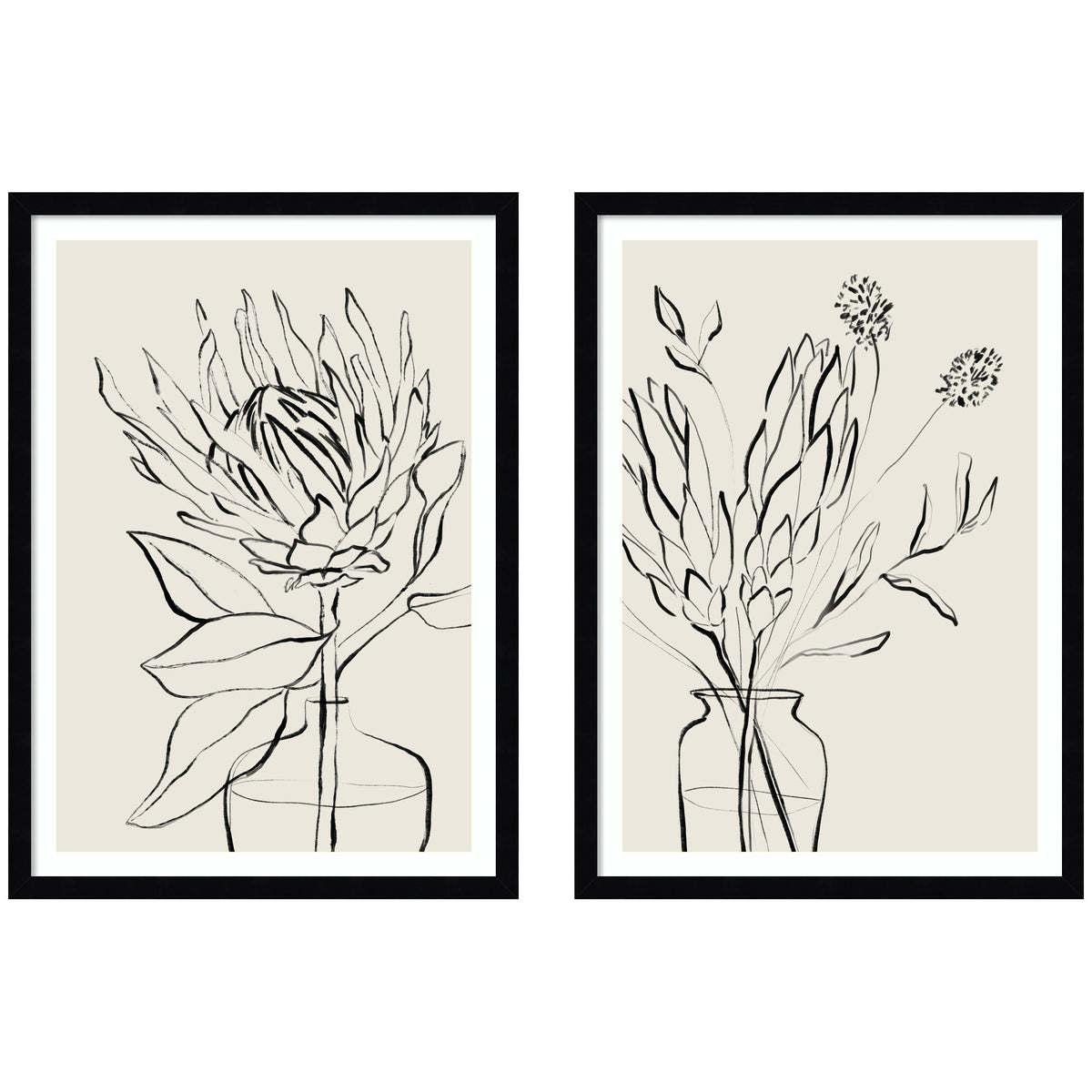 Protea Sketch No. 1 & No. 2 2 Piece Framed Wall Art Print Set by Sara Berrenson