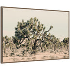 Joshua Tree No. 1 by Alicia Bock Framed Canvas Wall Art Print