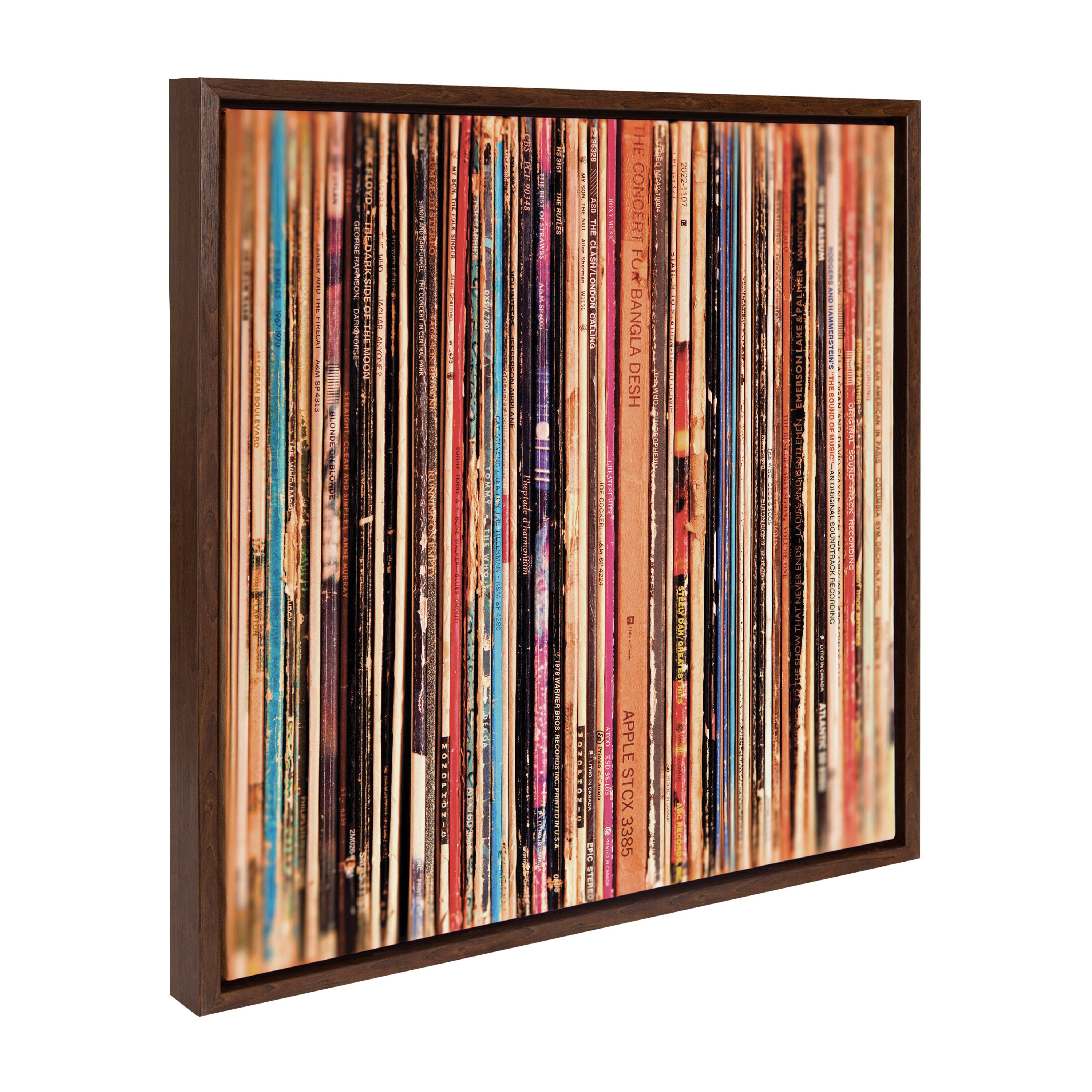 Sylvie Records Framed Canvas by Robert Cadloff of Bomobob