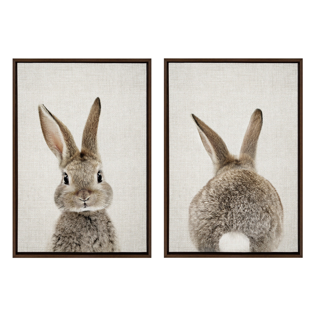 Sylvie Bunny Portrait and Bunny Tail Framed Canvas Art Set by Amy Peterson Art Studio