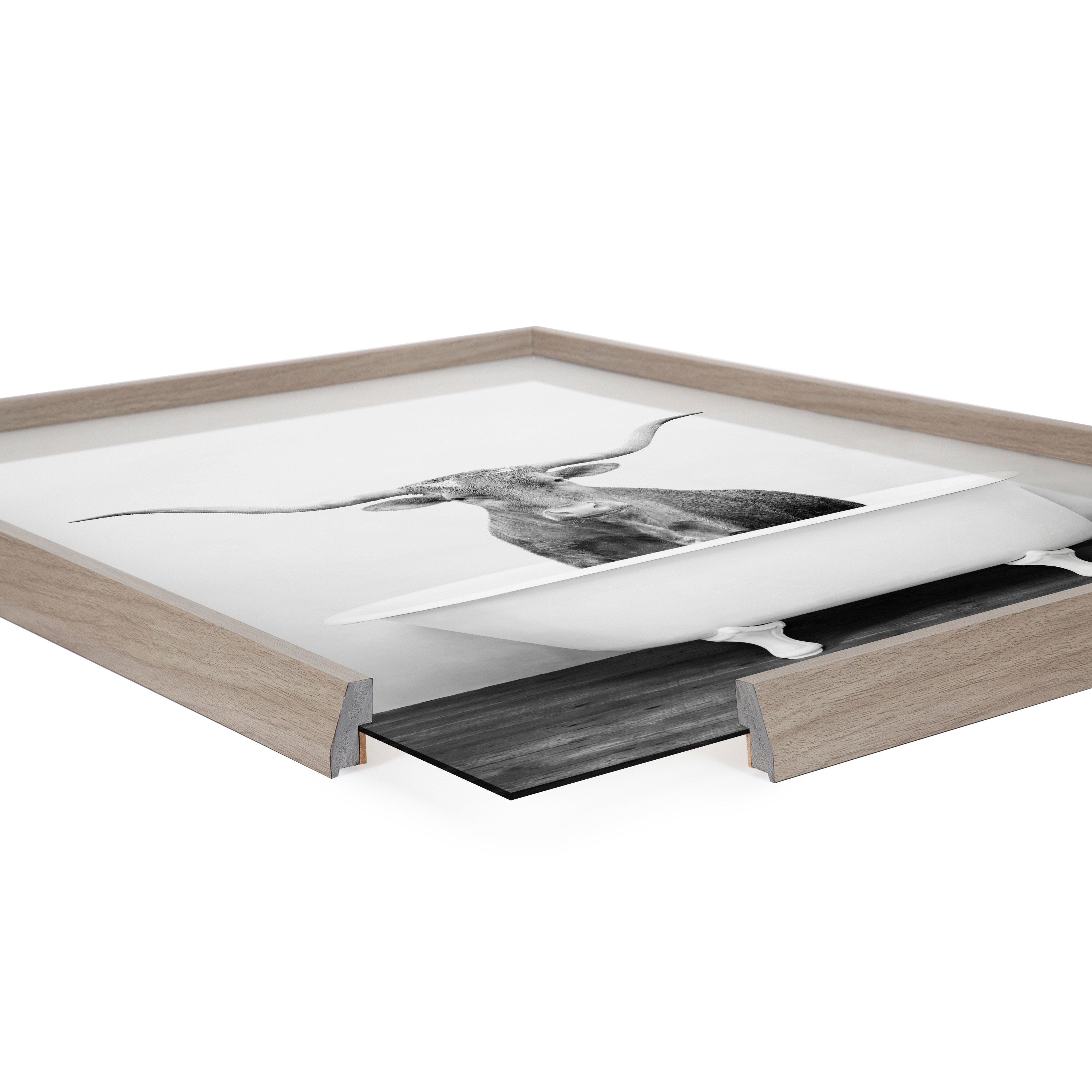 Blake Longhorn BW Bathroom Framed Printed Glass by Amy Peterson Art Studio