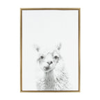 Sylvie Alpaca Framed Canvas by Simon Te of Tai Prints