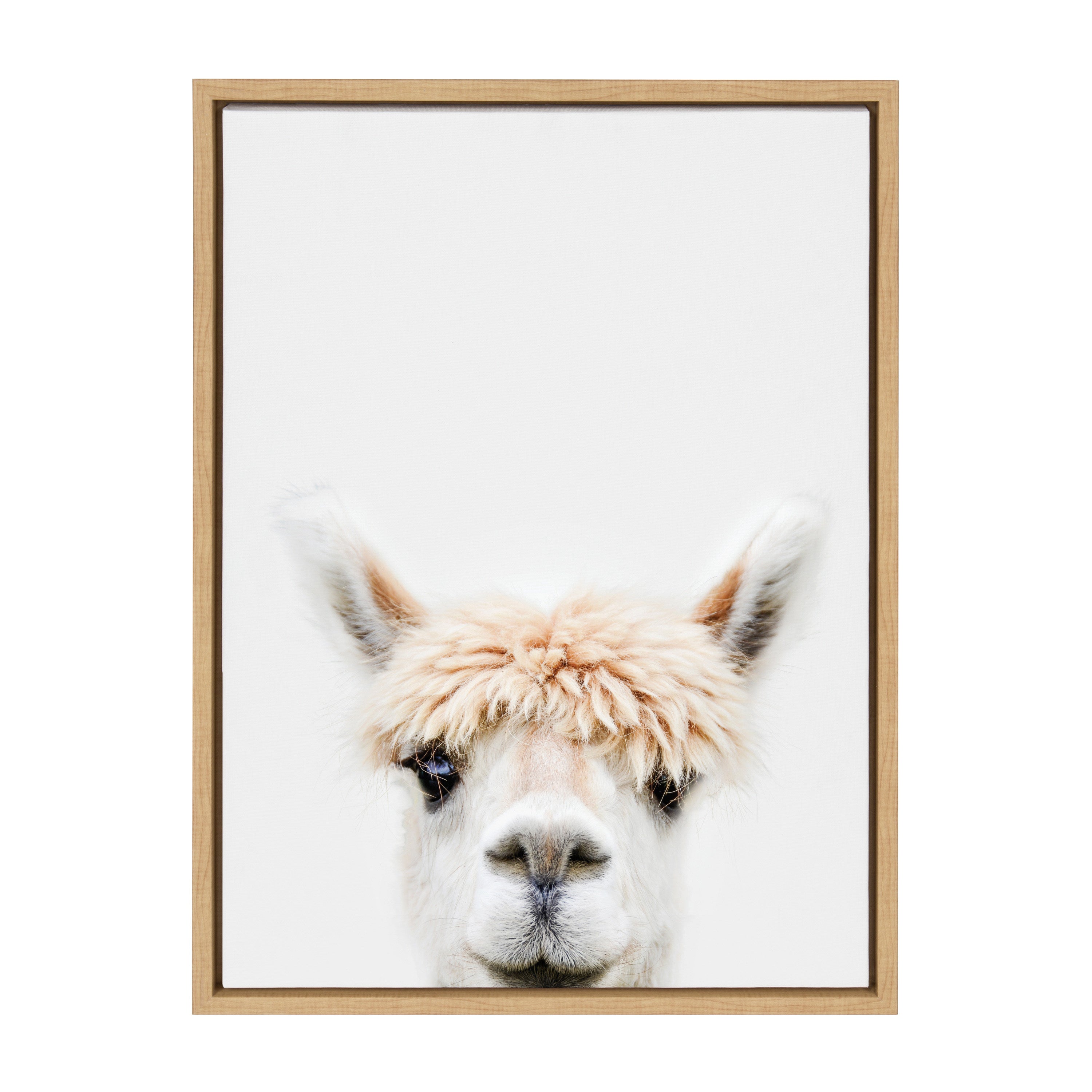 Sylvie Alpaca Bangs Framed Canvas by Amy Peterson Art Studio
