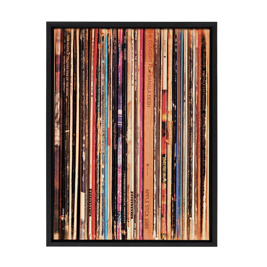 Sylvie Records Framed Canvas by Robert Cadloff of Bomobob