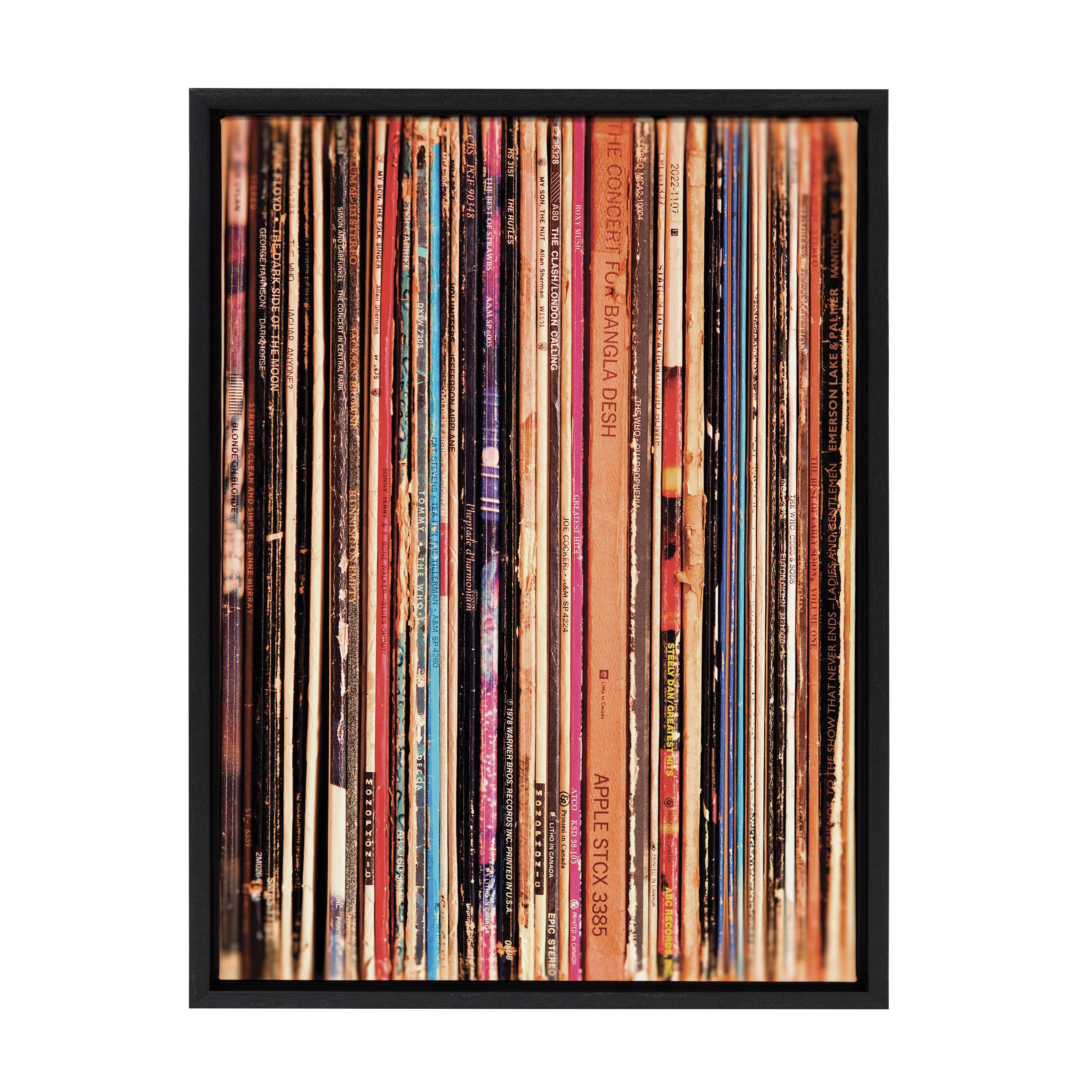 Sylvie Records Framed Canvas by Robert Cadloff of Bomobob