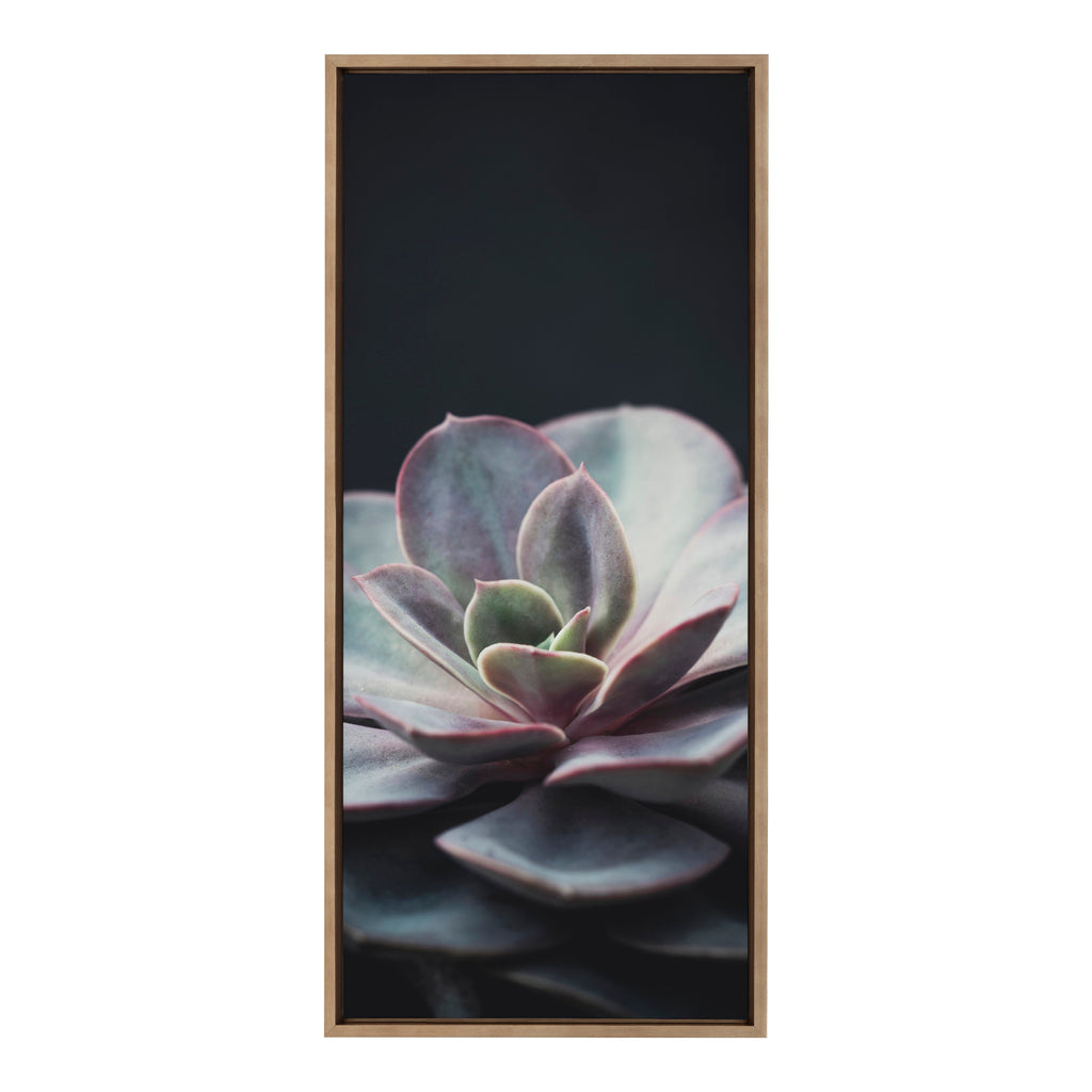Sylvie Succulent 5 Framed Canvas by F2 Images