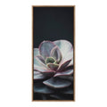 Sylvie Succulent 5 Framed Canvas by F2 Images
