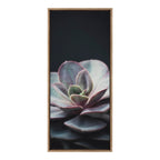 Sylvie Succulent 5 Framed Canvas by F2 Images