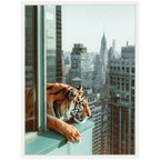 Sylvie Urban Tiger Overlooking Manhattan Framed Canvas by Michael Schauer