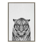 Sylvie Tiger Framed Canvas by Simon Te of Tai Prints