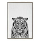 Sylvie Tiger Framed Canvas by Simon Te of Tai Prints
