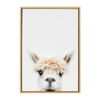 Sylvie Alpaca Bangs Framed Canvas by Amy Peterson Art Studio