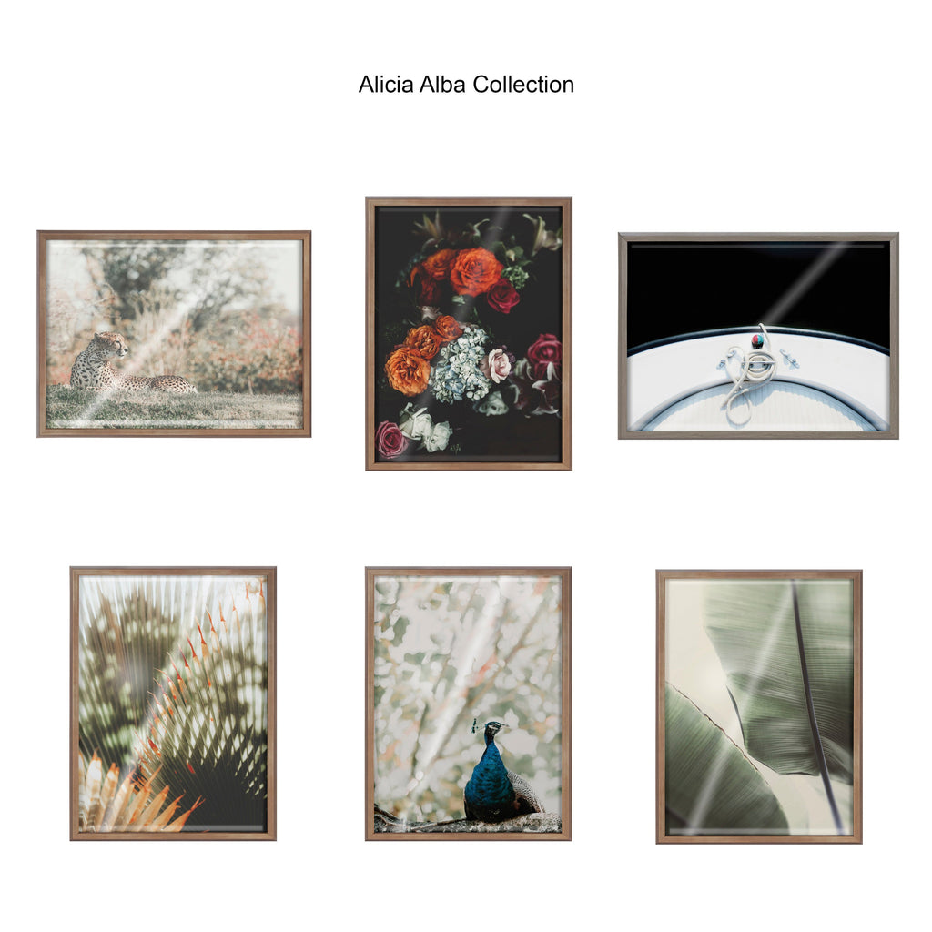 Blake Cheetah Framed Printed Glass by Alicia Abla