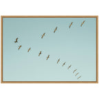 Sylvie Pelican Row #1 Framed Canvas by Alicia Bock