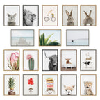 Sylvie Pink Protea Flower Framed Canvas by Amy Peterson