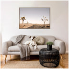 Driving Joshua Tree No. 3 by Alicia Bock Framed Canvas Wall Art Print