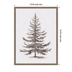 Sylvie Framed Canvas Vintage Evergreen Fir Tree lllustration II by The Creative Bunch Studio