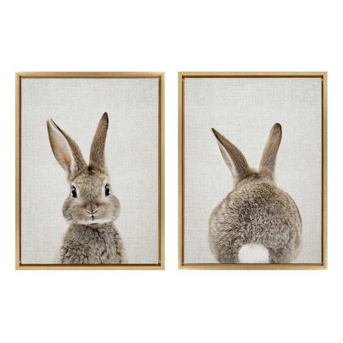 Sylvie Bunny Portrait and Bunny Tail Framed Canvas Art Set by Amy Peterson Art Studio