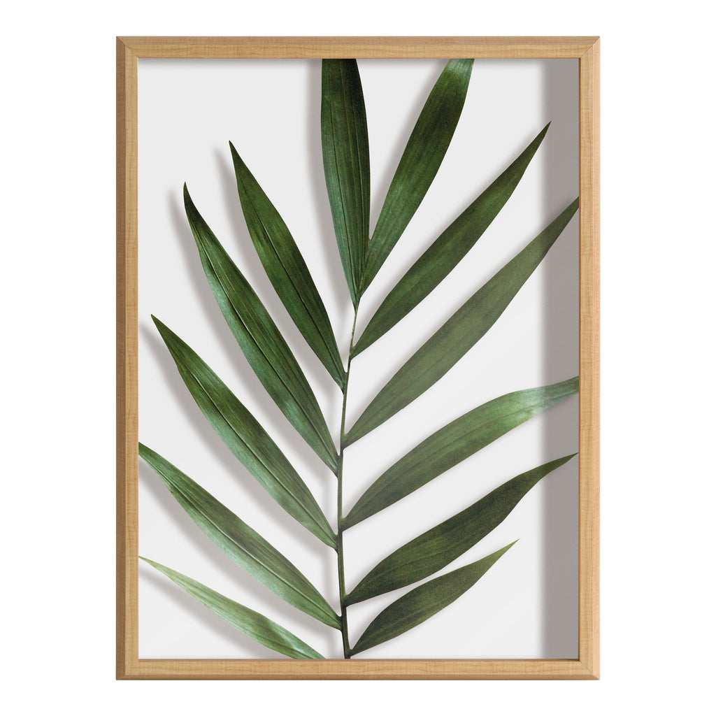Blake Botanical 5F Framed Printed Glass by Amy Peterson