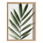 Blake Botanical 5F Framed Printed Glass by Amy Peterson