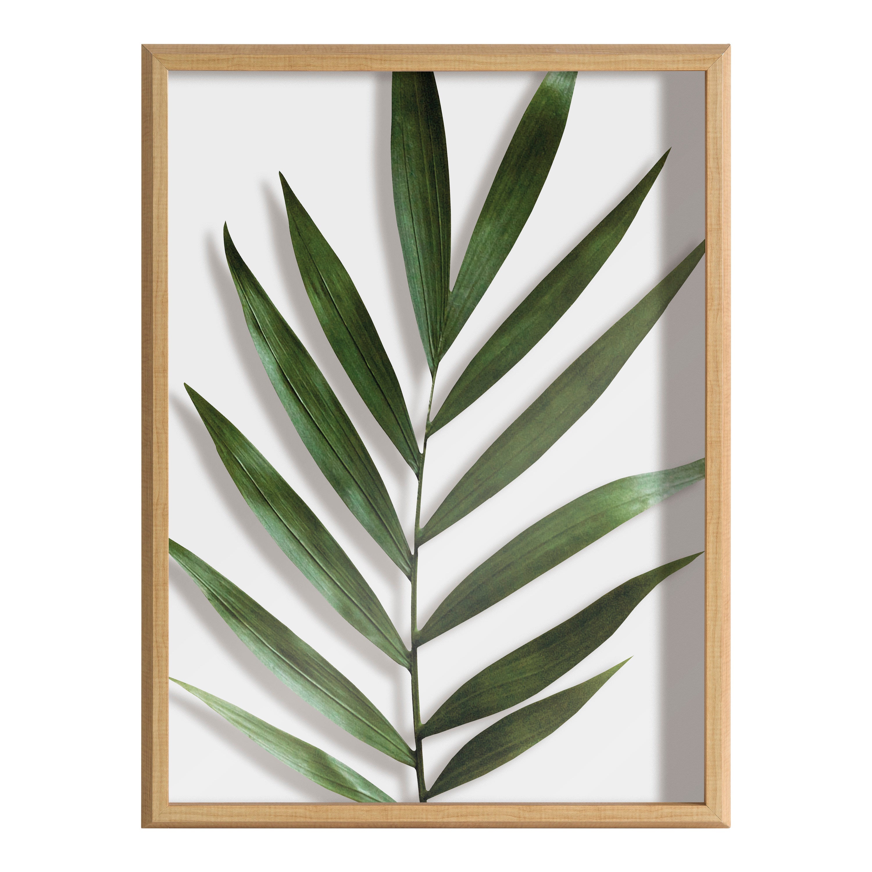 Blake Botanical 5F Framed Printed Glass by Amy Peterson
