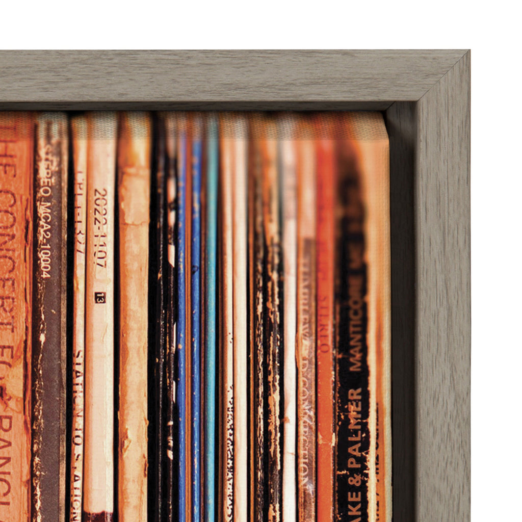 Sylvie Records Framed Canvas by Robert Cadloff of Bomobob