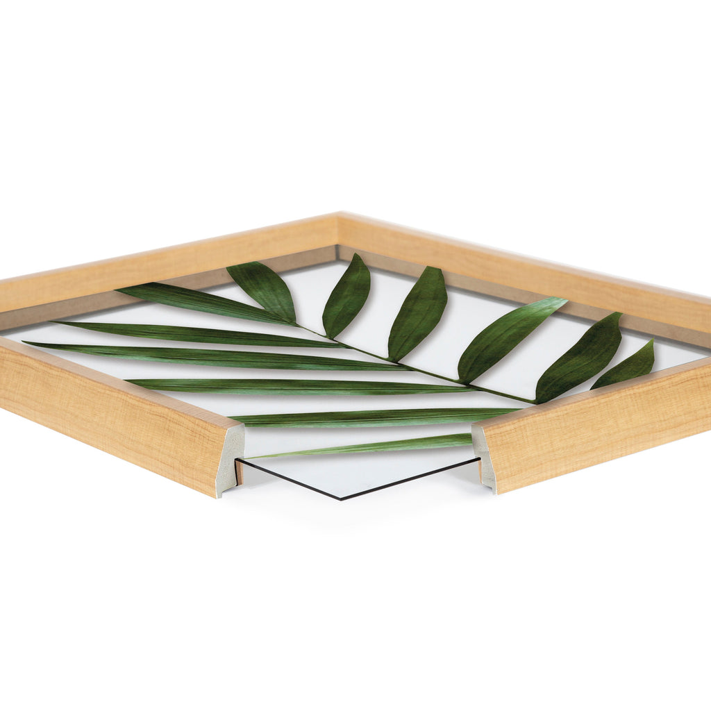 Blake Botanical 5F Framed Printed Glass by Amy Peterson