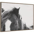 AA Noble by Alicia Abla Framed Canvas Wall Art Print